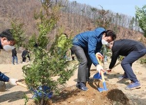 용인시, 식목일 맞아 나무 900그루 심어