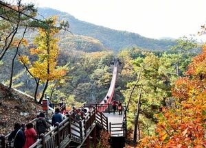 파주 감악산 등 ‘출렁다리 폐쇄 연장’
