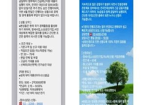 금감원, 소상공인 보이스피싱 주의보 발령