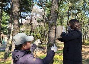 수원시, 야생조류 안식처 해결 ‘앞장’