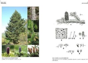 국립수목원,‘한반도 수목지(Ⅲ)’ 서적 발간