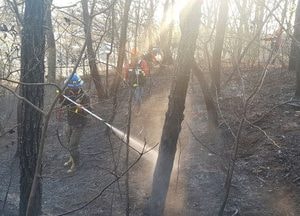 고양시, 산불 피해 최소화 총력 대응
