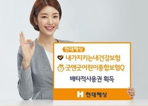 현대해상, DB손해보험 등 일부 손보사, 배타적사용권 획득