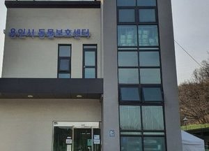 용인시 유기견 차단 위한 동물등록비 지원한다