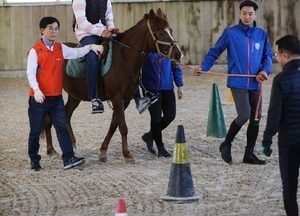 ‘馬과 함께하는 사회적 가치 실현’ 나선다