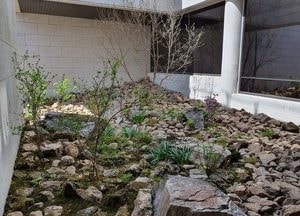 국립수목원, 독립기념관에 '시련의 돌밭' 정원 조성