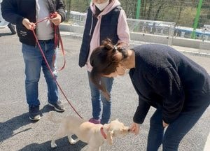 용인시, 반려동물 입양 문화 확산 위해···상담·교육비용 지원