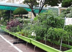 중구 “나만의 작은 텃밭상자로 도시를 바꾼다”