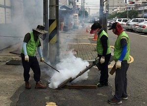 동구, 여름철 대비 주 1회 이상 감염병 매개모기 방역