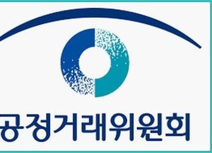 공정위, 배달앱 등 온라인 플랫폼 별도 심사지침 마련