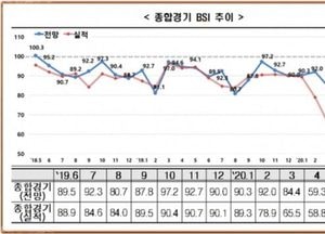 6월 국내 경기, 부정적 전망이 우세