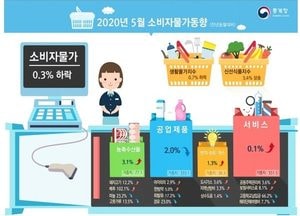 5월 소비자물가 8개월 만에 하락세 기록