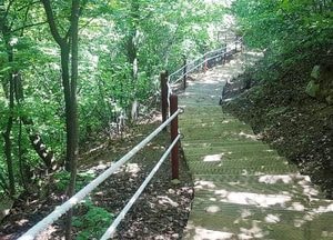 용인시 독조봉 등산로 1km구간 노후시설물 정비