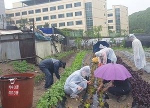 안양시 이웃 사랑실천 마을텃밭 가꾸기