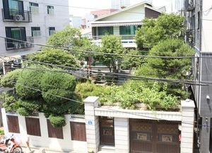 문 대통령, 정의연 논란에 "위안부 운동 대의 지켜져야 한다"