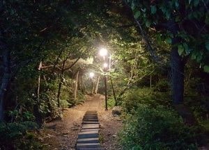 안양시 예술공원 APAP작품 야간탐방 시대 열렸다