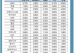`반도체 코리아`의 두 주역 삼성전자와 SK하이닉스 고군분투