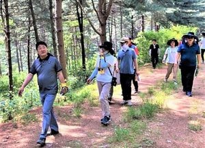이천 “잣나무숲길 너무 좋아” 이천 산수유둘레길 ‘호평’