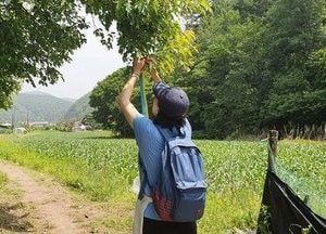 양평 ‘물소리길’ 인기...여행객 증가