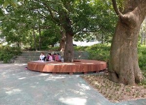 용인시, 마을 역사 간직한 나무 주변에 쉼터 조성