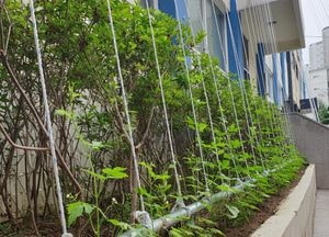서구, 인천 최초  ‘스마트 에코녹화’ 시범사업 추진