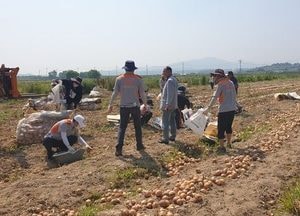 용인시, 농번기 일손 부족 농가에 일손 지원한다