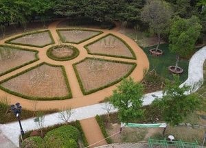 안양시, 학운공원 무궁화 꽃 힐링 동산으로 단장