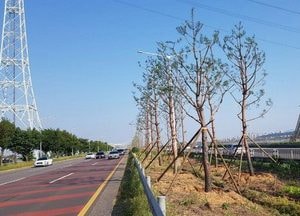 고양시, 미세먼지 차단 서해안 녹지벨트 3.5㎞ 조성