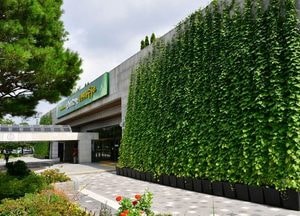 수원시, 실내온도 5도 낮추고 미세먼지 잡는 ‘그린커튼’ 40개소에 설치