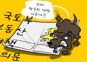 국토부 부동산 대책 효과 의문