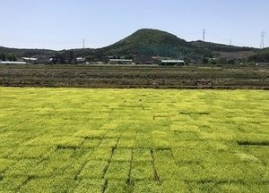 파주시 적성면 장현리 일대 50만평  ‘토지거래 허가구역’ 지정