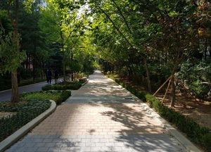 고양시, 도심숲 조성사업 시행