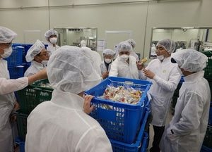 용인시 농산물 판로 확대 밀키트 제조업체 파악