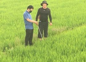 연천군, 이삭거름적기시용·병해충방제 중점지도 나서