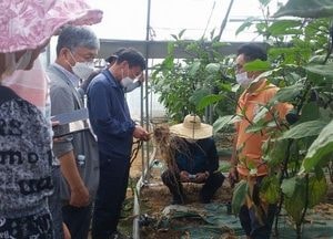 농진청·여주농기센터, 대신면 영농현장 컨설팅 열어