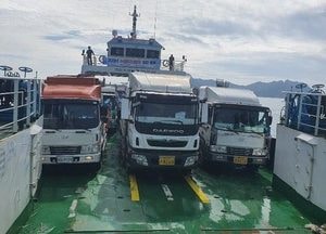 옹진군, 넙치 166만마리 방류…어업인 소득증대 기대
