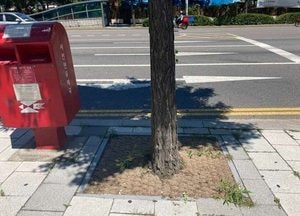 서구, 구민과 소통해 가로환경 개선한다