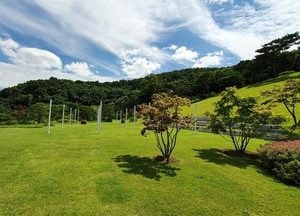 에버랜드 새로운 공간 포레스트 캠프 피크닉