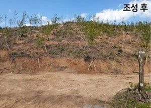 수원시, 강원도 속초 산불 피해지역에 ‘행복의 숲’ 조성