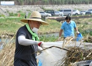 포천시의회 의원, '수해입은 포천천 변 정비·보수 나서'