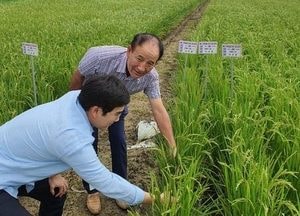 용인시 집중호우 농작물 병해충 현장지도 강화