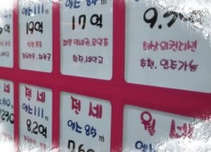 정부, 계약갱신청구권과 전·월세 상한제 등 민원 폭증에 대응책 내놔