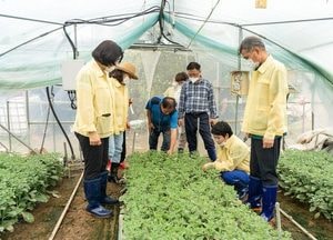 용인시의회 경제환경위원회 수해 피해 현장 점검