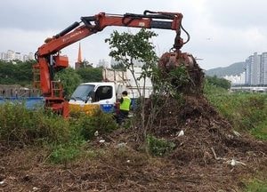 수해입은 안양천 변...본래 모습 되찾았다