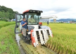 농민들과 함께 “첫 수확의 기쁨 나누는 박윤국 포천시장"