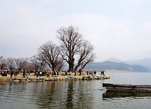 양평군, 5인 이상 집회금지 행정명령…두물머리·용문산단지 차량 통제