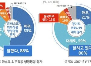 경기도민 88%, 마스크 의무착용 행정명령 “잘했다”