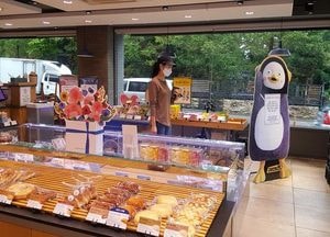 오늘부터 프랜차이즈 빵집·빙수집 등 포장·배달만 가능