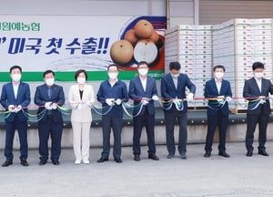 안성시, 2020년산 ‘신화배’ 미국 첫 수출길 올라