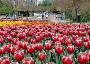[기획] 의정부시, 공원을 ‘에코 힐링 공간’으로 조성한다